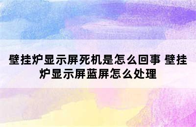 壁挂炉显示屏死机是怎么回事 壁挂炉显示屏蓝屏怎么处理